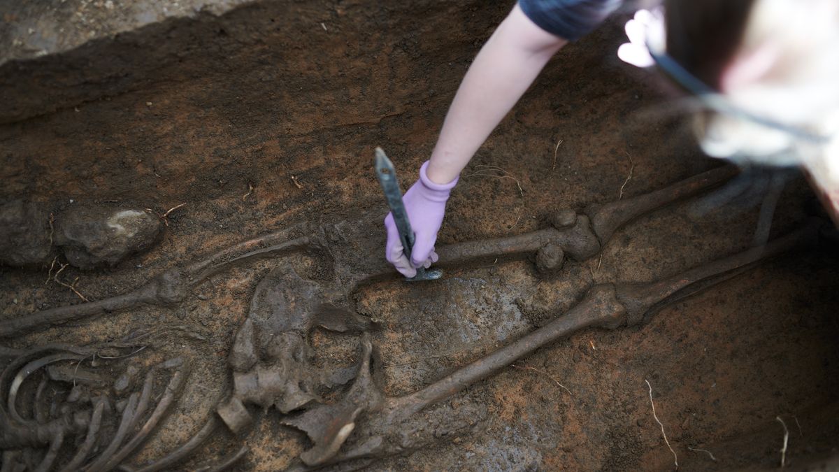 Muž našel na Prostějovsku při kopání bazénu tisíc let staré ostatky